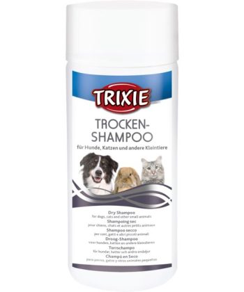 29182
