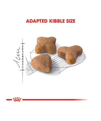ANIMAL HOUSE HOSPITAL - PRODUCTS CATS ROYAL CANIN CAT SENSIBLE 2KG GALLERY