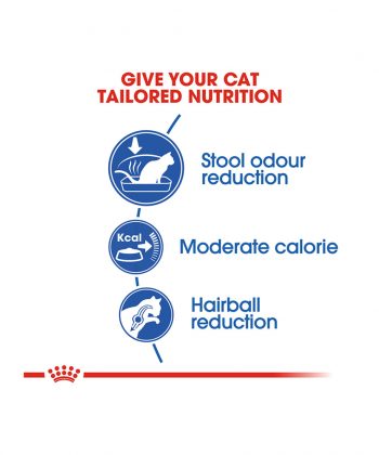 ANIMAL HOUSE HOSPITAL - PRODUCTS CATS ROYAL CANIN INDOOR 2KG GALLERY