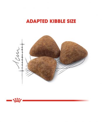 ANIMAL HOUSE HOSPITAL - PRODUCTS CATS ROYAL CANIN INDOOR 2KG GALLERY