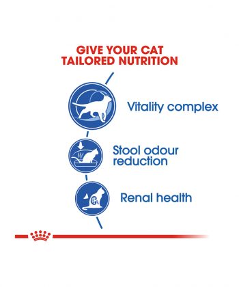 ANIMAL HOUSE HOSPITAL - PRODUCTS CATS ROYAL CANIN INDOOR Plus7 CAT 1.5KG GALLERY