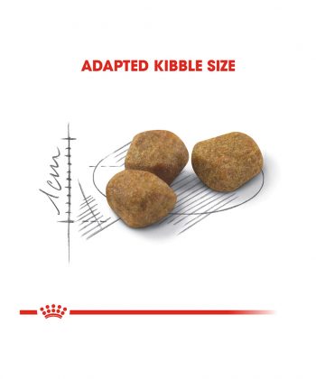 ANIMAL HOUSE HOSPITAL - PRODUCTS CATS ROYAL CANIN INDOOR Plus7 CAT 1.5KG GALLERY