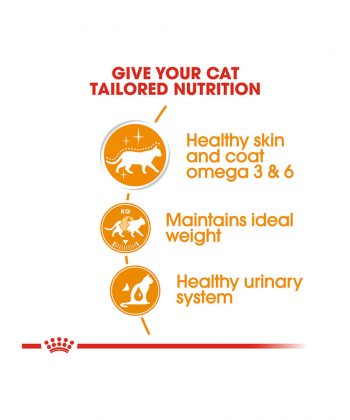 ANIMAL HOUSE HOSPITAL - PRODUCTS CATS ROYAL CANIN INTENSE BEAUTY 12X85G GALLERY
