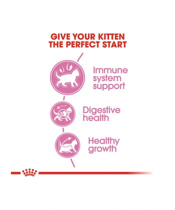 ANIMAL HOUSE HOSPITAL - PRODUCTS CATS ROYAL CANIN KITTEN 2KG 10KG GALLERY