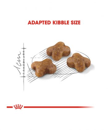 ANIMAL HOUSE HOSPITAL - PRODUCTS CATS ROYAL CANIN KITTEN 2KG 10KG GALLERY
