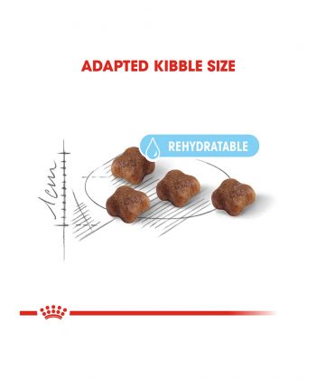 ANIMAL HOUSE HOSPITAL - PRODUCTS CATS ROYAL CANIN MOTHER BABY CAT 400G 2KG GALLERY