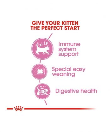 ANIMAL HOUSE HOSPITAL - PRODUCTS CATS ROYAL CANIN MOTHER BABY CAT 400G 2KG GALLERY