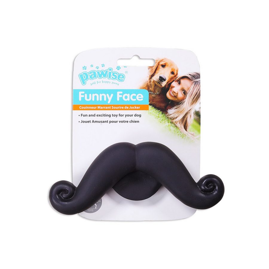 ANIMAL HOUSE HOSPITAL - PRODUCTS PAWISE VINYL TOY BEARD