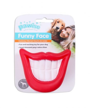 ANIMAL HOUSE HOSPITAL - PRODUCTS PAWISE VINYL TOY BIG TOOTH