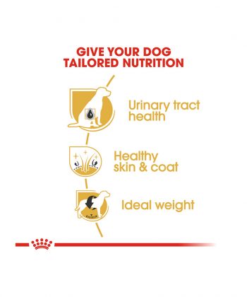 ANIMAL HOUSE HOSPITAL - PRODUCTS ROYAL CANIN BICHON FRISÉ 1.5KG GALLERY