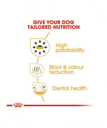 ANIMAL HOUSE HOSPITAL - PRODUCTS ROYAL CANIN CHIHUAHUA ADULT 1.5KG GALLERY
