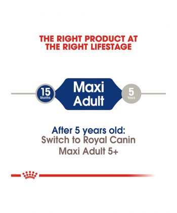 ANIMAL HOUSE HOSPITAL - PRODUCTS ROYAL CANIN MAXI ADULT 4KG 10KG 15KG GALLERY