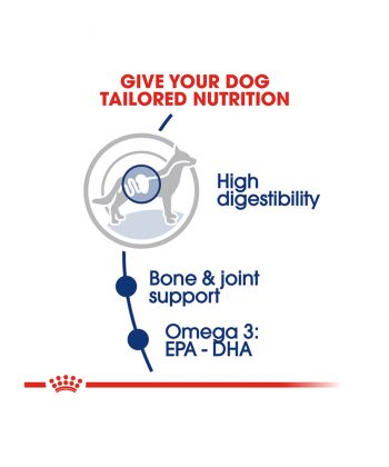 ANIMAL HOUSE HOSPITAL - PRODUCTS ROYAL CANIN MAXI ADULT 4KG 10KG 15KG GALLERY