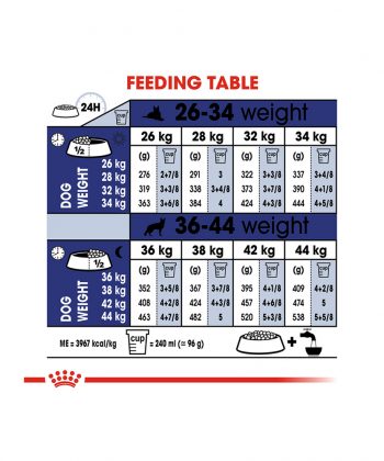 ANIMAL HOUSE HOSPITAL - PRODUCTS ROYAL CANIN MAXI ADULT 4KG 10KG 15KG GALLERY