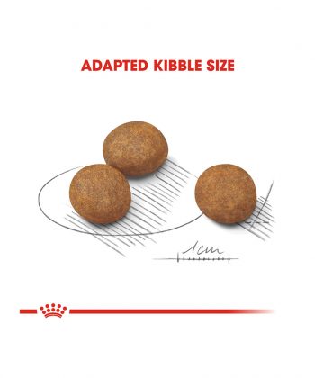 ANIMAL HOUSE HOSPITAL - PRODUCTS ROYAL CANIN MAXI PUPPY 4KG 15KG GALLERY