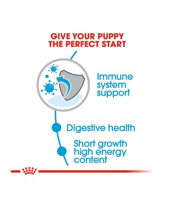 ANIMAL HOUSE HOSPITAL - PRODUCTS ROYAL CANIN MEDIUM PUPPY 4KG 15KG GALLERY