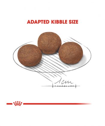 ANIMAL HOUSE HOSPITAL - PRODUCTS ROYAL CANIN MEDIUM PUPPY 4KG 15KG GALLERY