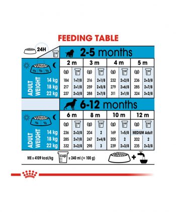 ANIMAL HOUSE HOSPITAL - PRODUCTS ROYAL CANIN MEDIUM PUPPY 4KG 15KG GALLERY