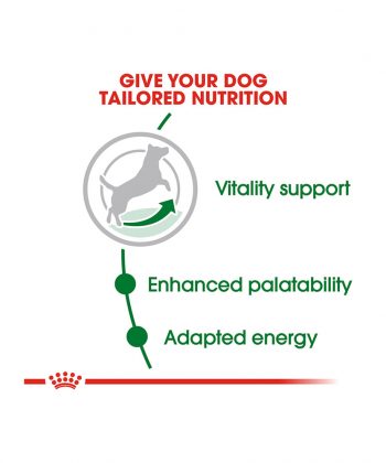 ANIMAL HOUSE HOSPITAL - PRODUCTS ROYAL CANIN MINI ADULT 8 PLUS 2KG 4KG GALLERY