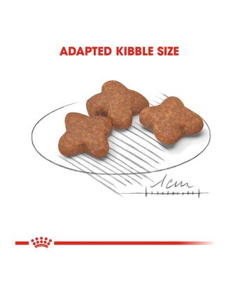 ANIMAL HOUSE HOSPITAL - PRODUCTS ROYAL CANIN MINI ADULT 8 PLUS 2KG 4KG GALLERY