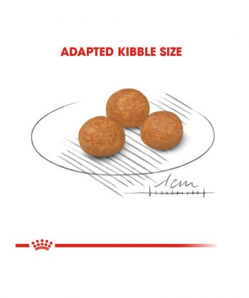 ANIMAL HOUSE HOSPITAL - PRODUCTS ROYAL CANIN X SMALL ADULT 1.5KG GALLERY