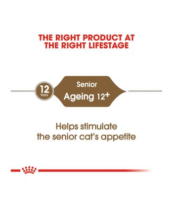 ANIMAL HOUSE HOSPITAL - PRODUCTS CATS ROYAL CANIN AGEING 12 PLUS 2KG GALLERY