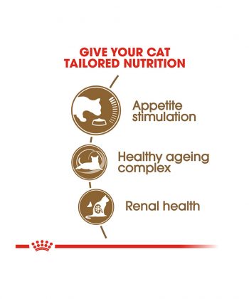 ANIMAL HOUSE HOSPITAL - PRODUCTS CATS ROYAL CANIN AGEING 12 PLUS 2KG GALLERY