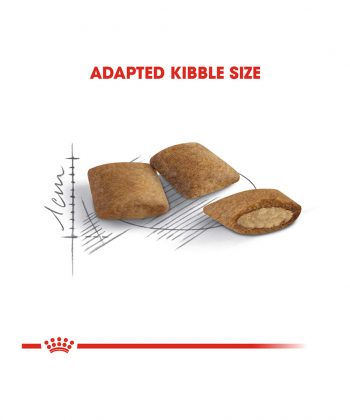 ANIMAL HOUSE HOSPITAL - PRODUCTS CATS ROYAL CANIN AGEING 12 PLUS 2KG GALLERY