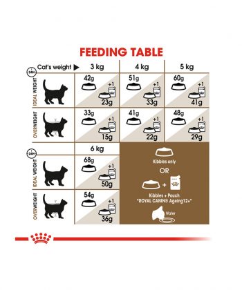 ANIMAL HOUSE HOSPITAL - PRODUCTS CATS ROYAL CANIN AGEING 12 PLUS 2KG GALLERY