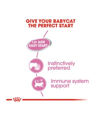 ANIMAL HOUSE HOSPITAL - PRODUCTS CATS ROYAL CANIN BABYCAT INSTINCTIVE MOUSSE 195G GALLERY