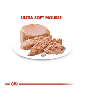 ANIMAL HOUSE HOSPITAL - PRODUCTS CATS ROYAL CANIN BABYCAT INSTINCTIVE MOUSSE 195G GALLERY