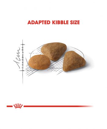 ANIMAL HOUSE HOSPITAL - PRODUCTS CATS ROYAL CANIN EXIGENT 2KG GALLERY