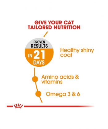 ANIMAL HOUSE HOSPITAL - PRODUCTS CATS ROYAL CANIN HAIR SKIN CARE 2KG GALLERY