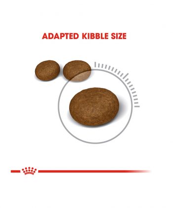 ANIMAL HOUSE HOSPITAL - PRODUCTS CATS ROYAL CANIN HAIR SKIN CARE 2KG GALLERY