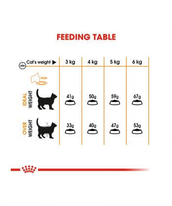 ANIMAL HOUSE HOSPITAL - PRODUCTS CATS ROYAL CANIN HAIR SKIN CARE 2KG GALLERY