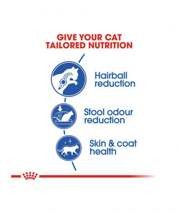 ANIMAL HOUSE HOSPITAL - PRODUCTS CATS ROYAL CANIN INDOOR LONG HAIR CAT 4KG GALLERY