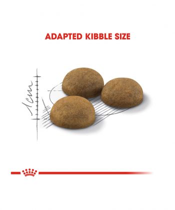 ANIMAL HOUSE HOSPITAL - PRODUCTS CATS ROYAL CANIN INDOOR LONG HAIR CAT 4KG GALLERY