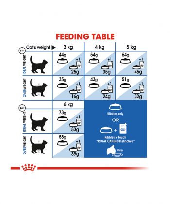 ANIMAL HOUSE HOSPITAL - PRODUCTS CATS ROYAL CANIN INDOOR LONG HAIR CAT 4KG GALLERY