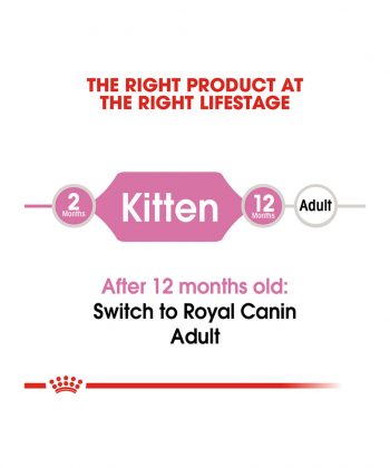 ANIMAL HOUSE HOSPITAL - PRODUCTS CATS ROYAL CANIN KITTEN 2KG 10KG GALLERY