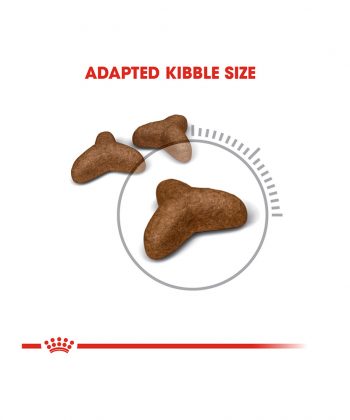 ANIMAL HOUSE HOSPITAL - PRODUCTS CATS ROYAL CANIN LIGHT 2KG GALLERY