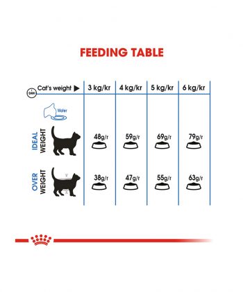 ANIMAL HOUSE HOSPITAL - PRODUCTS CATS ROYAL CANIN LIGHT 2KG GALLERY
