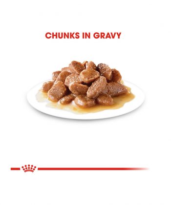 ANIMAL HOUSE HOSPITAL - PRODUCTS CATS ROYAL CANIN STERILISED IN GRAVY 12X85G GALLERY