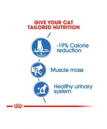 ANIMAL HOUSE HOSPITAL - PRODUCTS CATS ROYAL CANIN ULTRA LIGHT 12X85G GALLERY