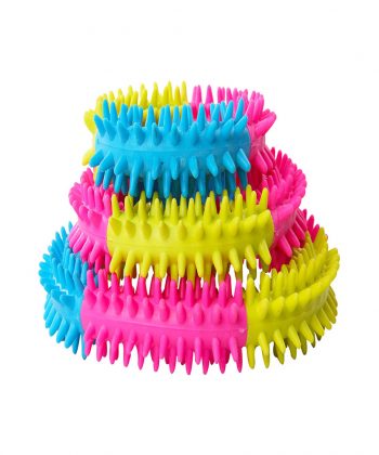ANIMAL HOUSE HOSPITAL - PRODUCTS PAWISE RAINBOW WORLD CORONULE S