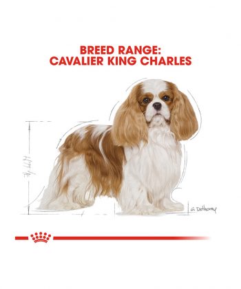 ANIMAL HOUSE HOSPITAL - PRODUCTS ROYAL CANIN CAVALIER KING CHARLES ADULT 1.5KG GALLERY