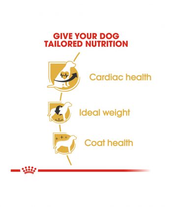 ANIMAL HOUSE HOSPITAL - PRODUCTS ROYAL CANIN CAVALIER KING CHARLES ADULT 1.5KG GALLERY