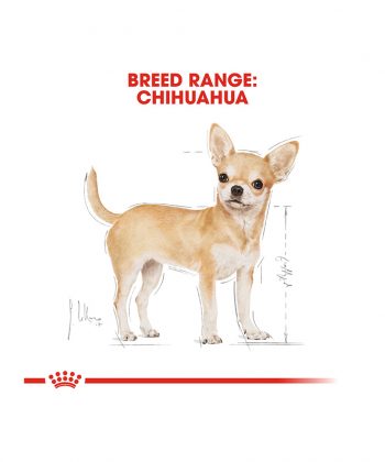 ANIMAL HOUSE HOSPITAL - PRODUCTS ROYAL CANIN CHIHUAHUA ADULT 1.5KG GALLERY