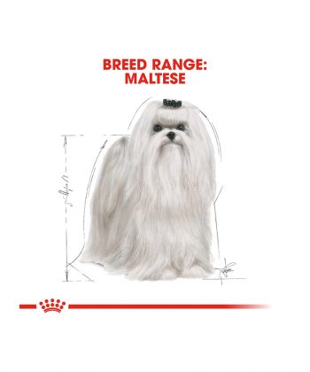 ANIMAL HOUSE HOSPITAL - PRODUCTS ROYAL CANIN MALTESE ADULT 1.5KG GALLERY