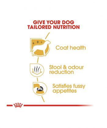 ANIMAL HOUSE HOSPITAL - PRODUCTS ROYAL CANIN MALTESE ADULT 1.5KG GALLERY