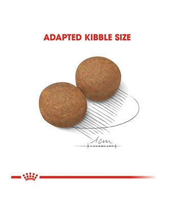 ANIMAL HOUSE HOSPITAL - PRODUCTS ROYAL CANIN MAXI ADULT 4KG 10KG 15KG GALLERY